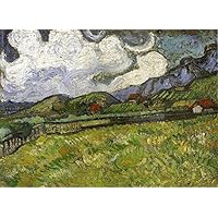 Amazon.co.jp: 枚の絵画 死神がいるセント ポール病院の裏の麦畑